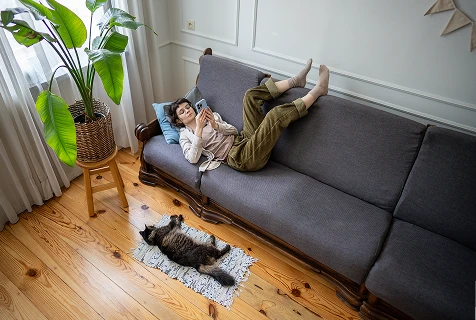 Lorem ipsum dolor sit amet, consectetur adipiscing elit - klon